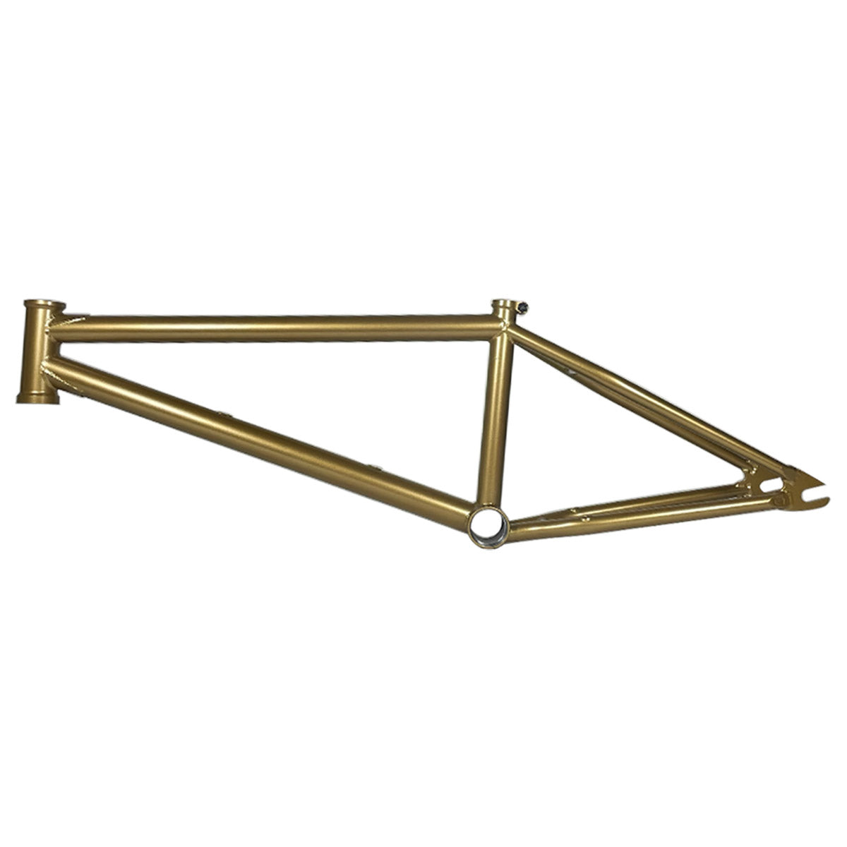 Credence Nutter Signature M.O.D. Frame