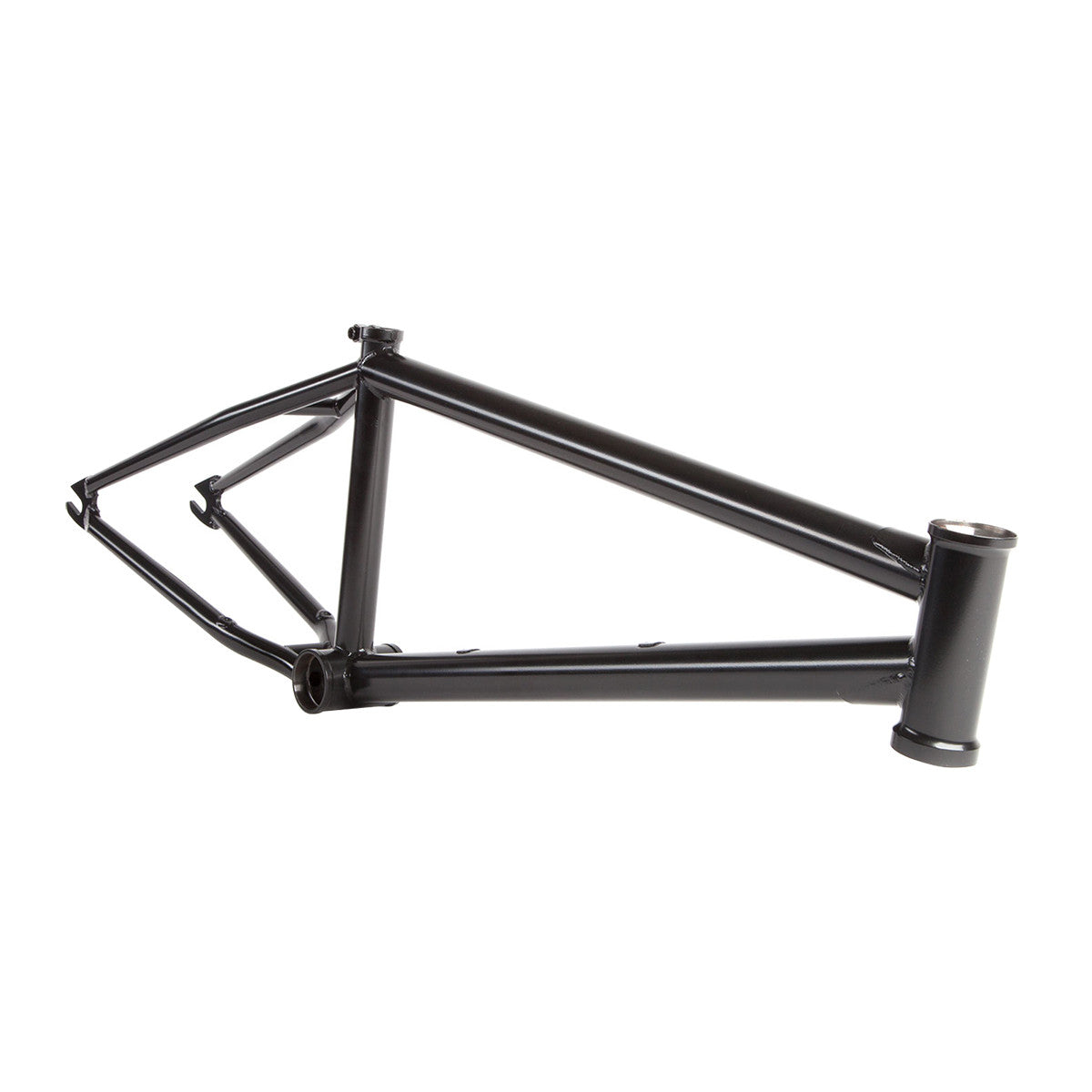 Credence Nutter Signature M.O.D. Frame