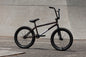 Sunday EX Erik Elstran Complete