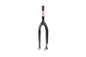 Odyssey R-25 Forks