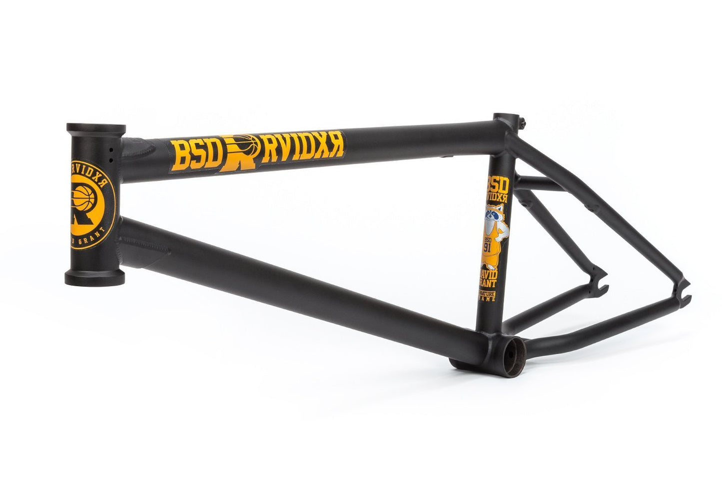 BSD Raider Frame