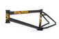 BSD Raider Frame